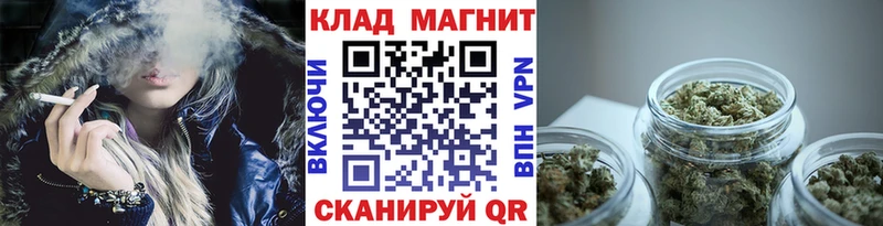 Какие есть наркотики Пудож ЭКСТАЗИ  Галлюциногенные грибы  Меф  APVP  Амфетамин  ГАШ  Марихуана  КОКАИН 