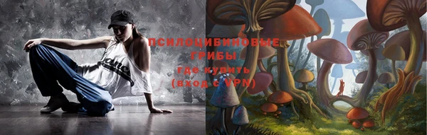 прущие грибы Абинск
