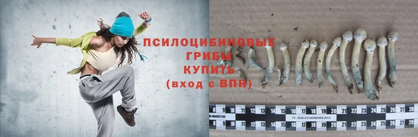 не бодяженный Алексин