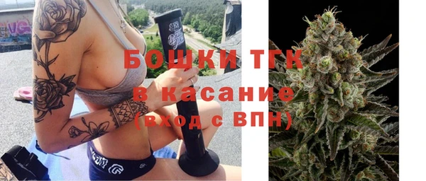прущие грибы Абинск