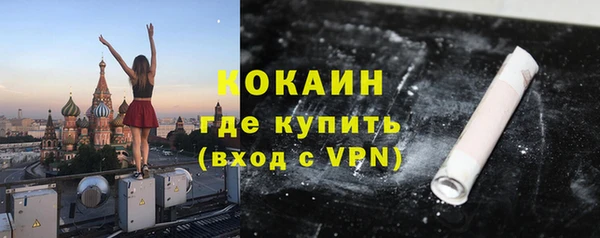 прущие грибы Абинск
