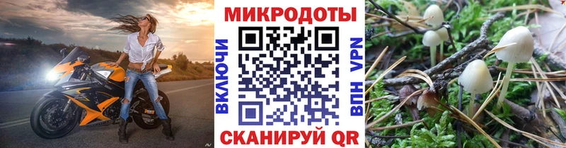 Псилоцибиновые грибы ЛСД  Пудож 